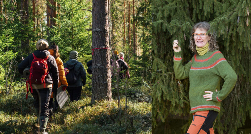 Vasemmalla ihmisiä kävelemässä metsässä, oikealla Minna Helminen kuusen edessä.
