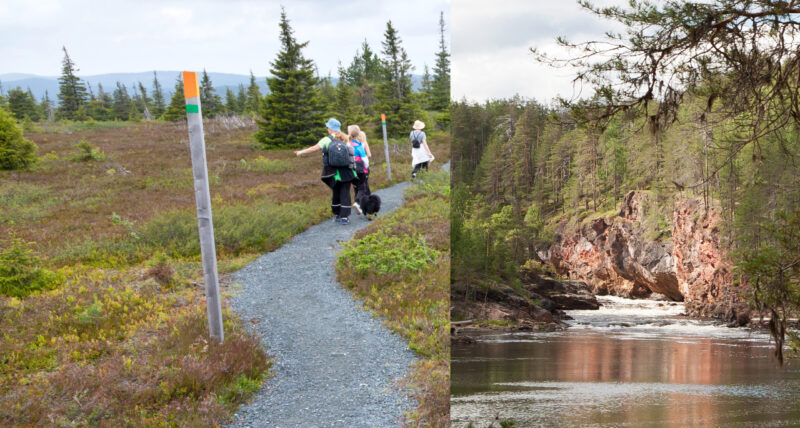 Ihmisiä kävelemässä tunturin vaellusreitillä ja toisessa kuvassa männikköisten kallioiden välissä kuohuva koski.